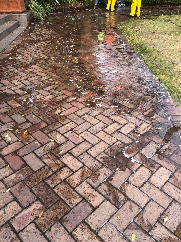 Pavers Cleaning